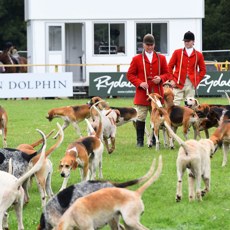 Hunting events at Ragley Hall