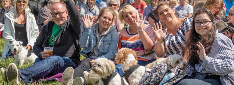 DogFest