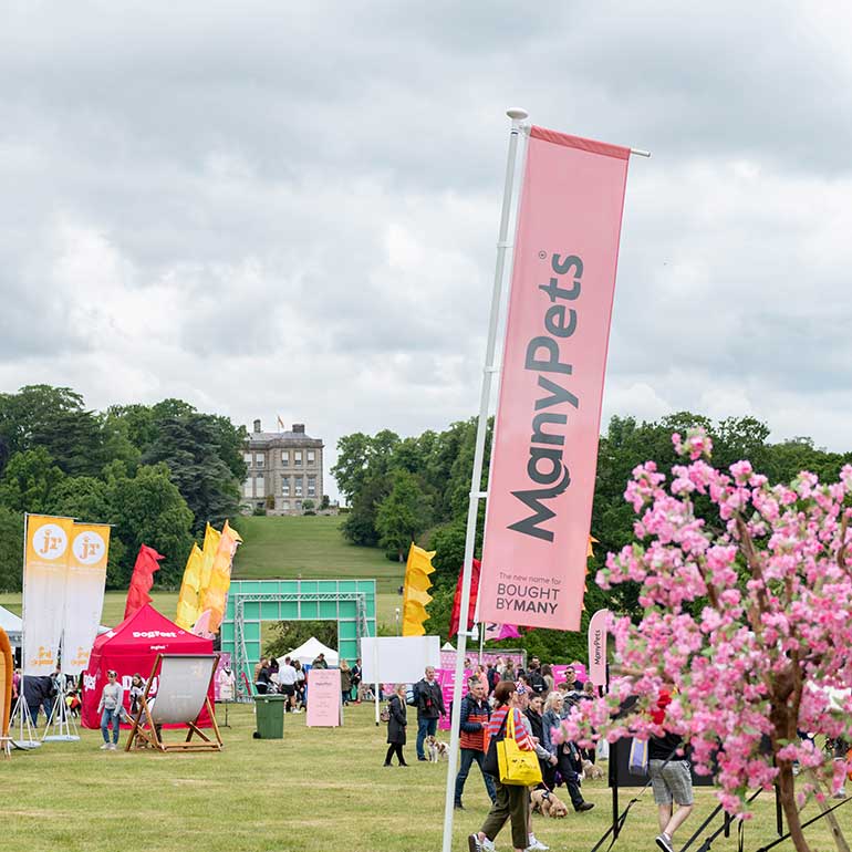 Dog Fest Ragley Hall